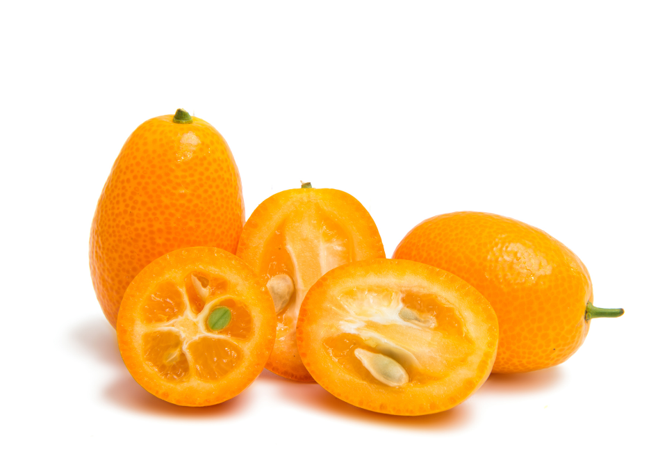 Цитрус Кумкват мандариновое дерево / Citrus Kumquat продажу и покупка в Киеве, фото, описание.